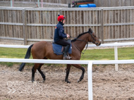 BP210325-23 - Squire Danagher